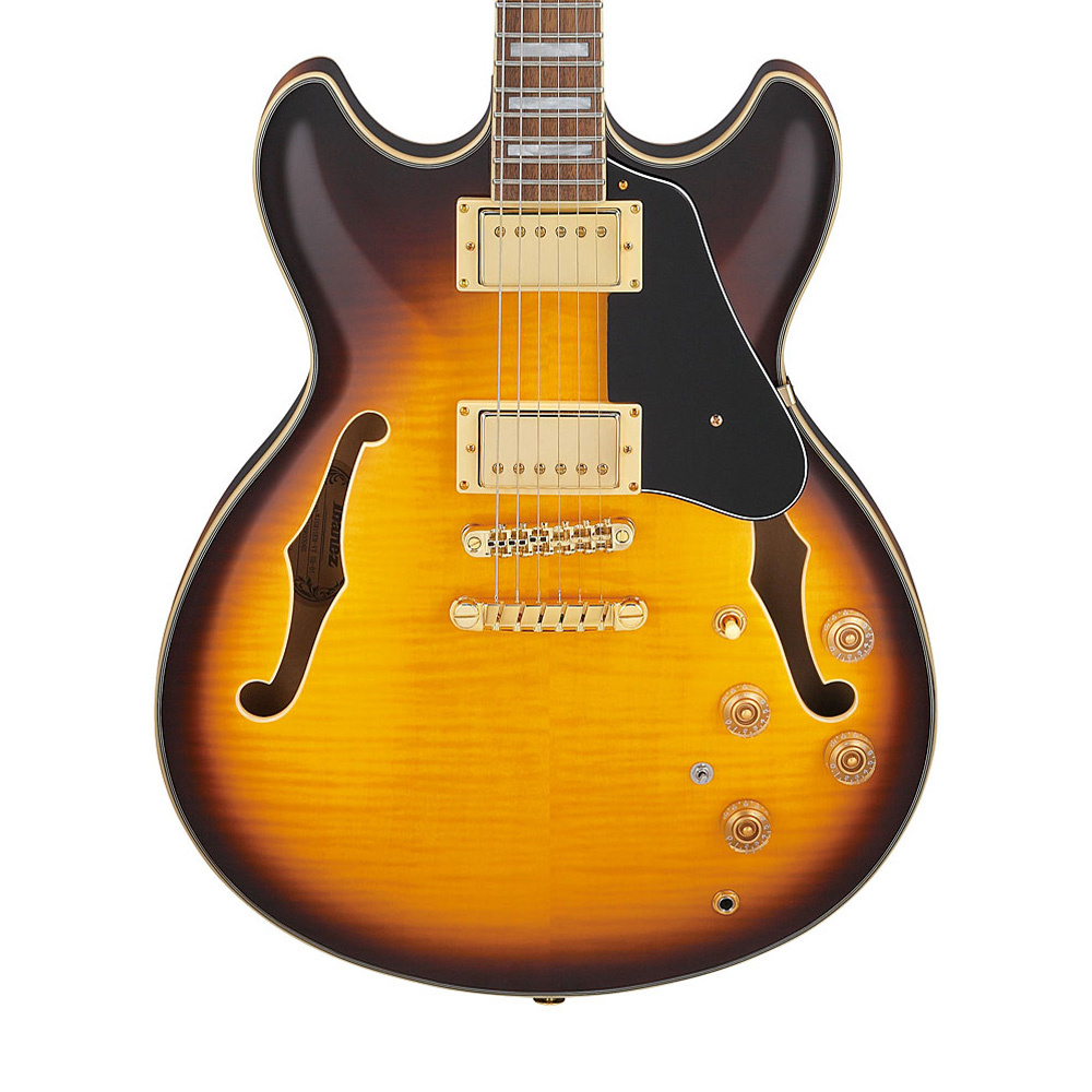 Ibanez JSM10EM-TTM John Scofield Signature Serisi Hallow Body